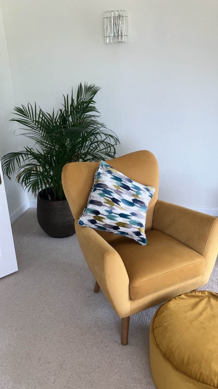 Ochre velvet armchair with a multi-tonal cut velvet cushion in teal, blue and mustard, beside a potted palm